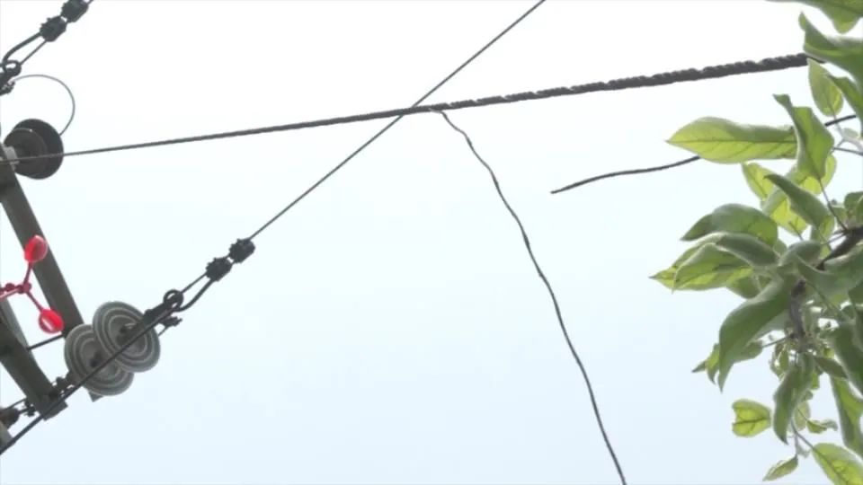 DƬ